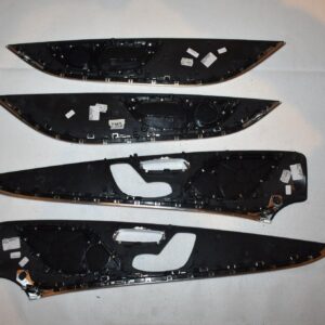 Genuine AMG Carbon Fiber Door Trim